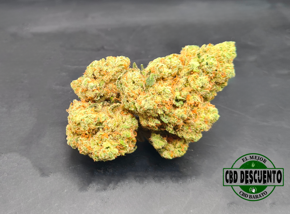 AMNESIA - INDOOR MÁS OK