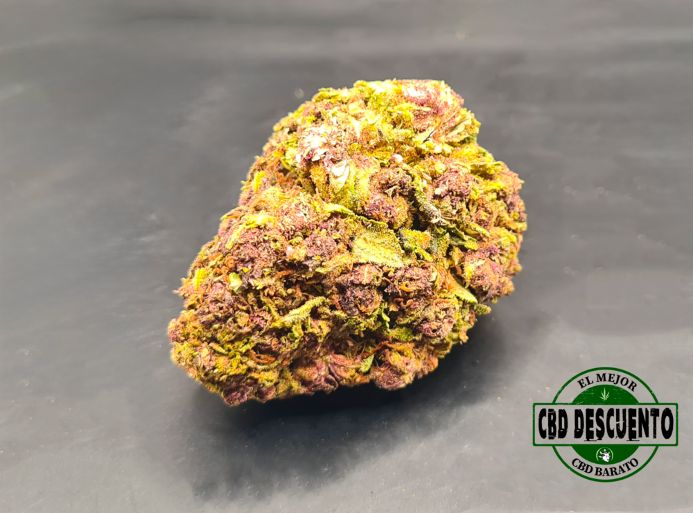 CANNATONIC x PURPLE - GREENHOUSE