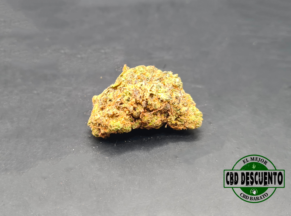 GORILLA GLUE - INDOOR