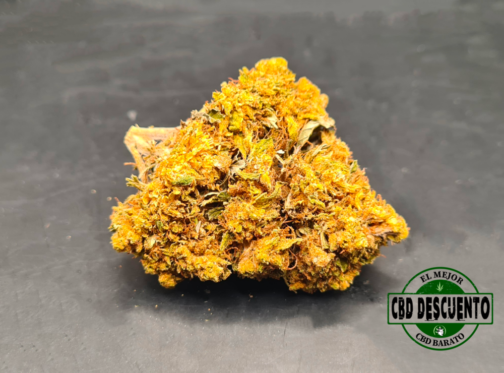 HARLEY QUINN - GREENHOUSE