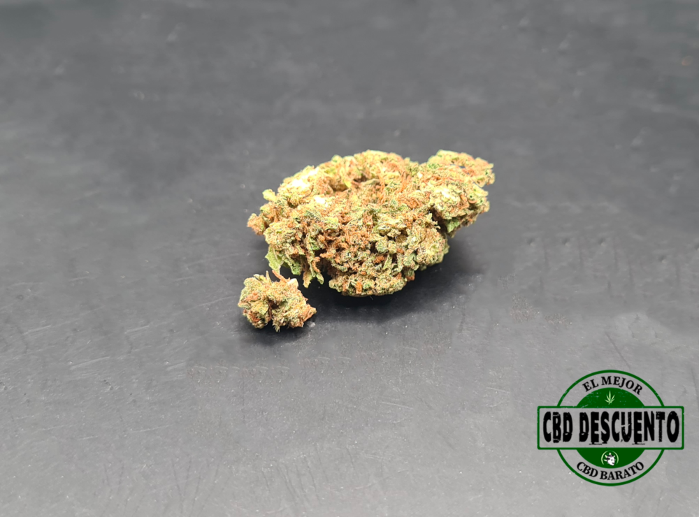 STRAWBERRY - GREENHOUSE