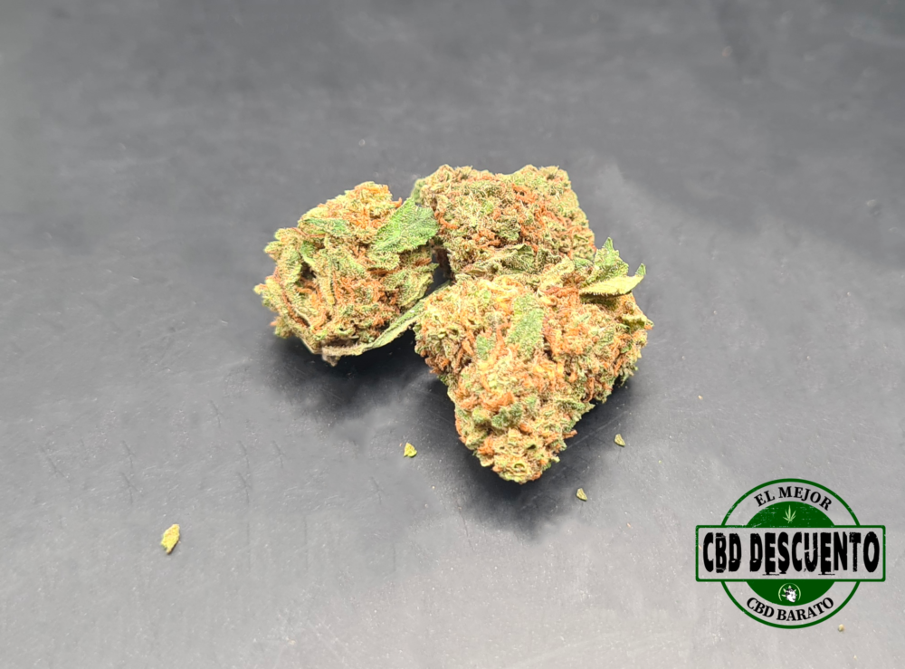 STRAWBERRY SMALL - GREENHOUSE