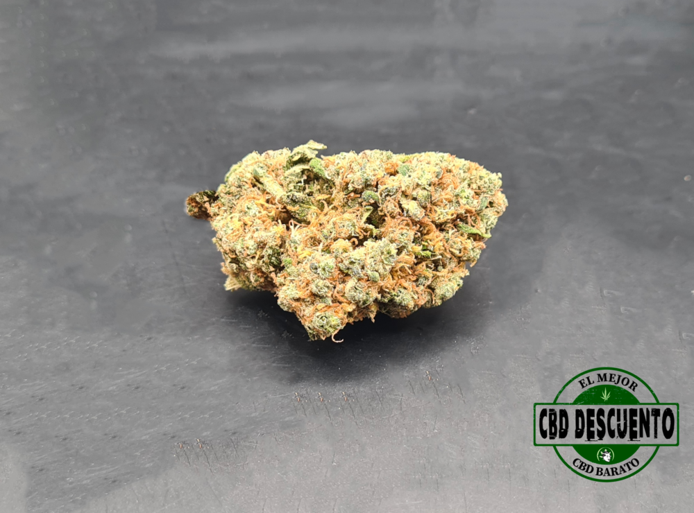 TROPICANA - INDOOR OK